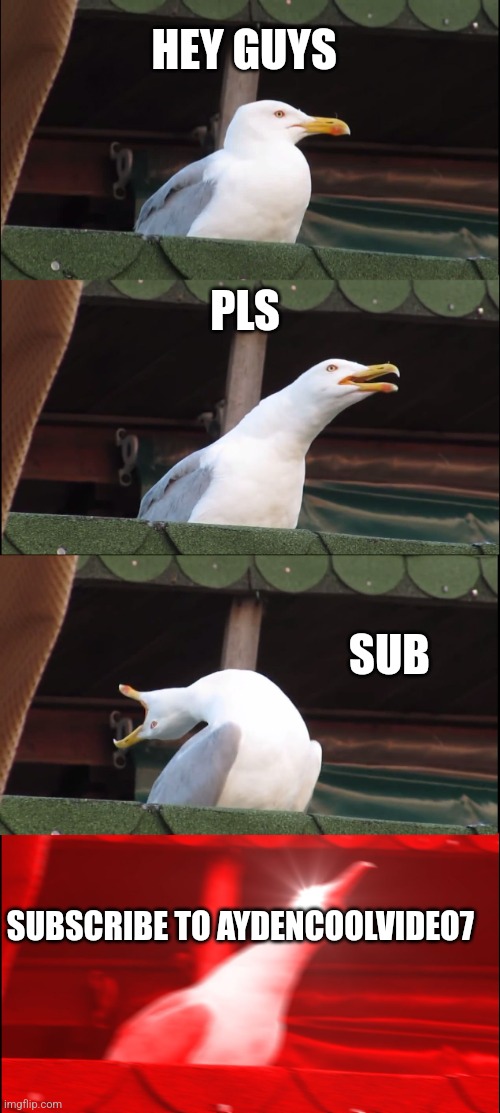 Inhaling Seagull | HEY GUYS; PLS; SUB; SUBSCRIBE TO AYDENCOOLVIDEO7 | image tagged in memes,inhaling seagull | made w/ Imgflip meme maker