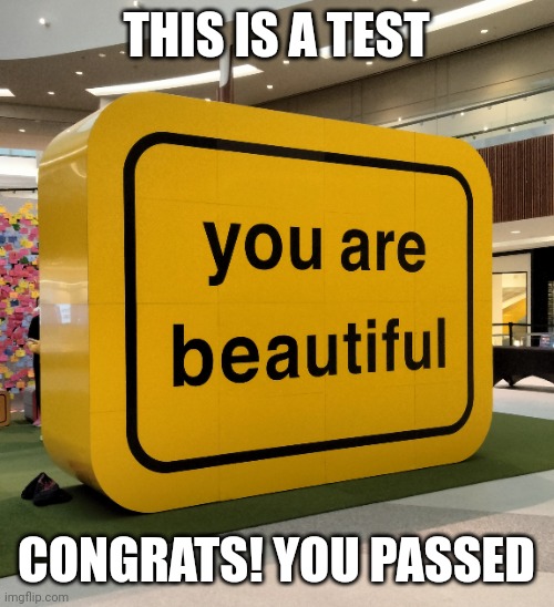 Beautiful | THIS IS A TEST; CONGRATS! YOU PASSED | image tagged in positivity | made w/ Imgflip meme maker
