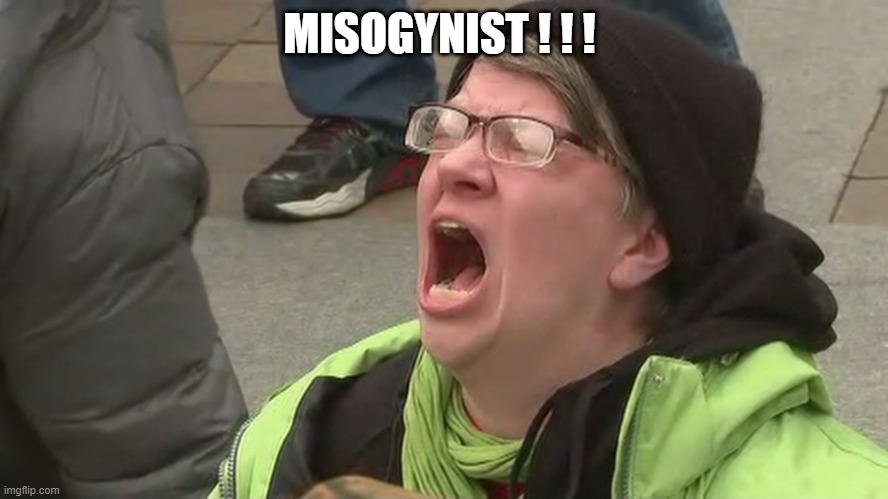 Noooo | MISOGYNIST ! ! ! | image tagged in noooo | made w/ Imgflip meme maker