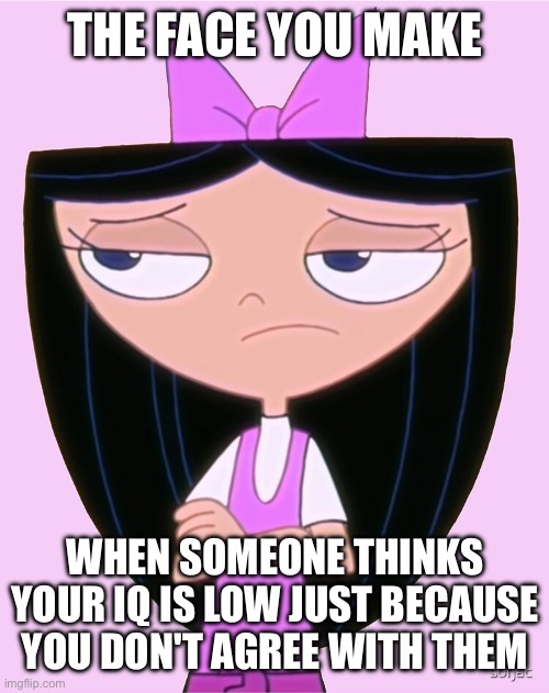 Isabella is not amused | THE FACE YOU MAKE; WHEN SOMEONE THINKS YOUR IQ IS LOW JUST BECAUSE YOU DON'T AGREE WITH THEM | image tagged in isabella is not amused | made w/ Imgflip meme maker