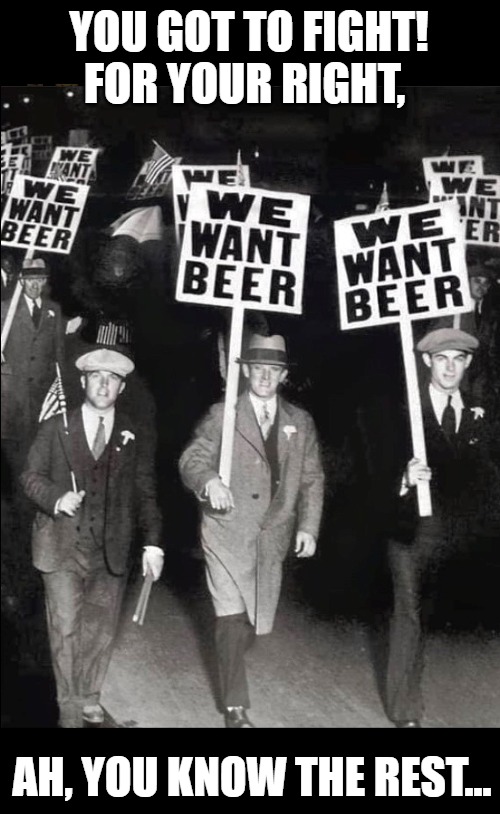 My Political Party | YOU GOT TO FIGHT! FOR YOUR RIGHT, AH, YOU KNOW THE REST... | image tagged in beer,funny,vintage,protest | made w/ Imgflip meme maker