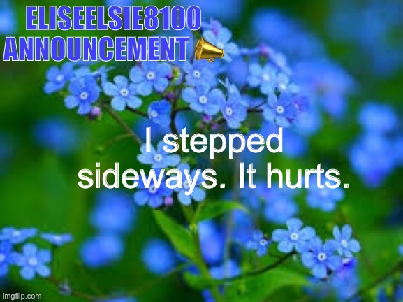 EliseElsie8100 Announcement | I stepped sideways. It hurts. | image tagged in eliseelsie8100 announcement | made w/ Imgflip meme maker