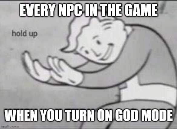 Godmode | EVERY NPC IN THE GAME; WHEN YOU TURN ON GOD MODE | image tagged in fallout hold up | made w/ Imgflip meme maker