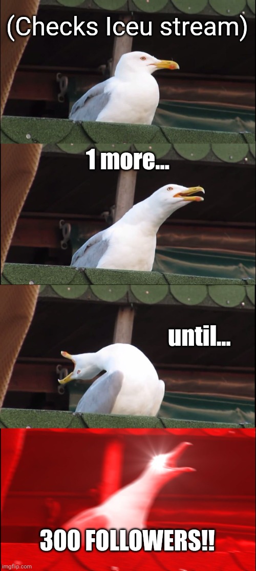 300 followers!! | (Checks Iceu stream); 1 more... until... 300 FOLLOWERS!! | image tagged in memes,inhaling seagull,funny,iceu | made w/ Imgflip meme maker