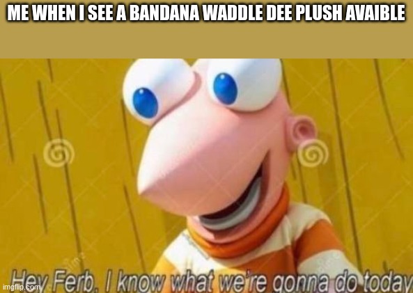 Yes, I'm a Bandana Waddle Dee man. You can be mad. | ME WHEN I SEE A BANDANA WADDLE DEE PLUSH AVAIBLE | image tagged in hey ferb,bandana waddle dee | made w/ Imgflip meme maker