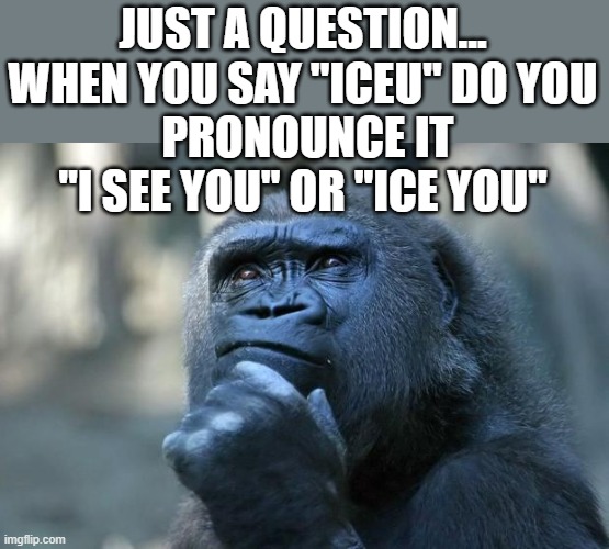 I pronounce it "I see you.."  Am I doing it wrong!? | JUST A QUESTION...
WHEN YOU SAY "ICEU" DO YOU
 PRONOUNCE IT "I SEE YOU" OR "ICE YOU" | image tagged in deep thoughts,iceu,thinking | made w/ Imgflip meme maker