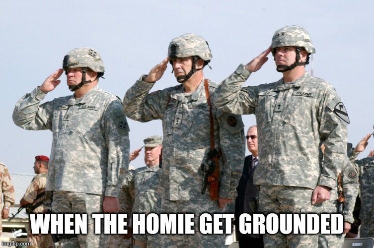 Soldiers Salute | WHEN THE HOMIE GET GROUNDED | image tagged in soldiers salute | made w/ Imgflip meme maker