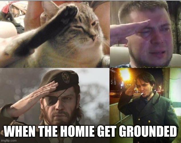 Ozon's Salute | WHEN THE HOMIE GET GROUNDED | image tagged in ozon's salute | made w/ Imgflip meme maker