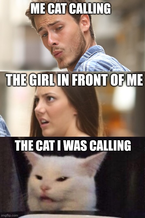 It's never gonna work | ME CAT CALLING; THE GIRL IN FRONT OF ME; THE CAT I WAS CALLING | image tagged in distracted boyfriend,woman yelling at cat,cat | made w/ Imgflip meme maker