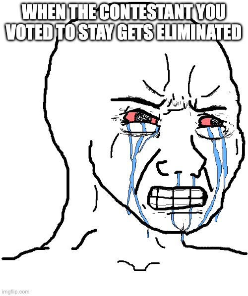 Goodbye, cloudy | WHEN THE CONTESTANT YOU VOTED TO STAY GETS ELIMINATED | image tagged in cry wojak,bfdi,crying,tpot | made w/ Imgflip meme maker