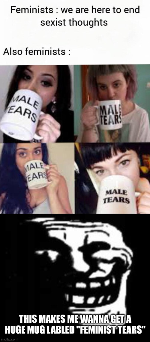 THIS MAKES ME WANNA GET A HUGE MUG LABLED "FEMINIST TEARS" | image tagged in dark trollface | made w/ Imgflip meme maker