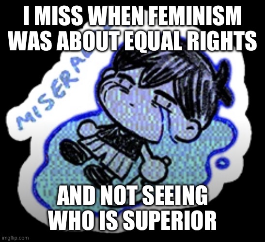 "men should die!!" | I MISS WHEN FEMINISM WAS ABOUT EQUAL RIGHTS; AND NOT SEEING WHO IS SUPERIOR | image tagged in miserable | made w/ Imgflip meme maker