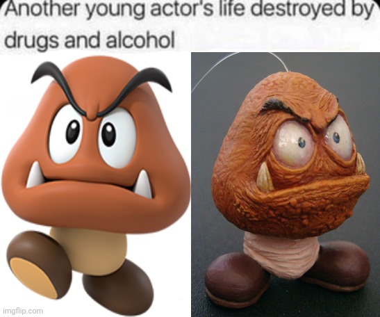Goomba | image tagged in another young actor's life destroyed by drugs and alcohol,goomba,gaming,memes,nintendo,goombas | made w/ Imgflip meme maker