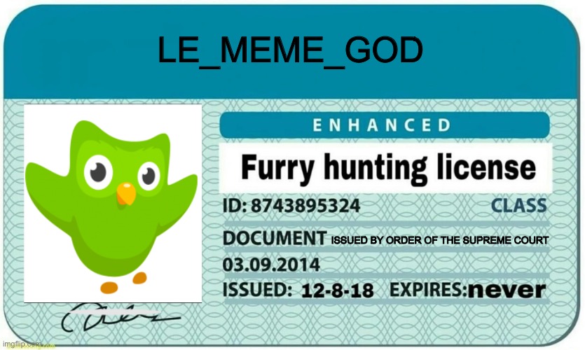 For le_meme_god | LE_MEME_GOD; ISSUED BY ORDER OF THE SUPREME COURT | image tagged in furry hunting license | made w/ Imgflip meme maker