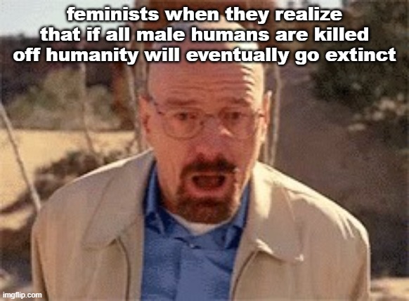 Walter White | feminists when they realize that if all male humans are killed off humanity will eventually go extinct | image tagged in walter white | made w/ Imgflip meme maker