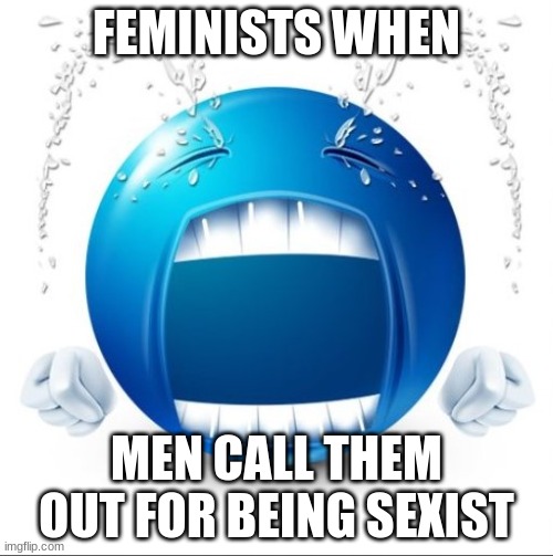 . | FEMINISTS WHEN; MEN CALL THEM OUT FOR BEING SEXIST | image tagged in crying blue guy | made w/ Imgflip meme maker