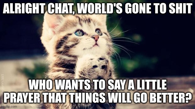 Praying cat | ALRIGHT CHAT, WORLD'S GONE TO SHIT; WHO WANTS TO SAY A LITTLE PRAYER THAT THINGS WILL GO BETTER? | image tagged in praying cat | made w/ Imgflip meme maker
