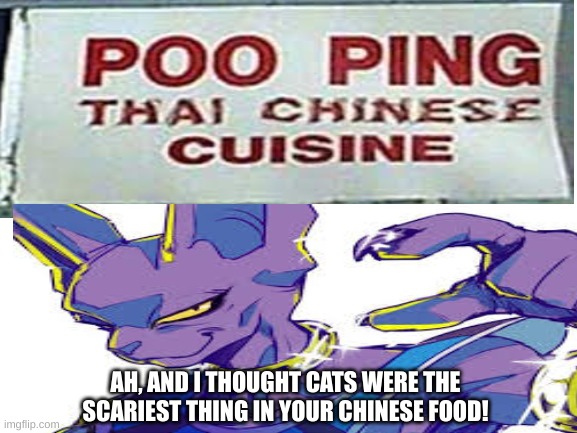 Beerus Chinese food | AH, AND I THOUGHT CATS WERE THE SCARIEST THING IN YOUR CHINESE FOOD! | image tagged in chinese food,beerus,dbs | made w/ Imgflip meme maker