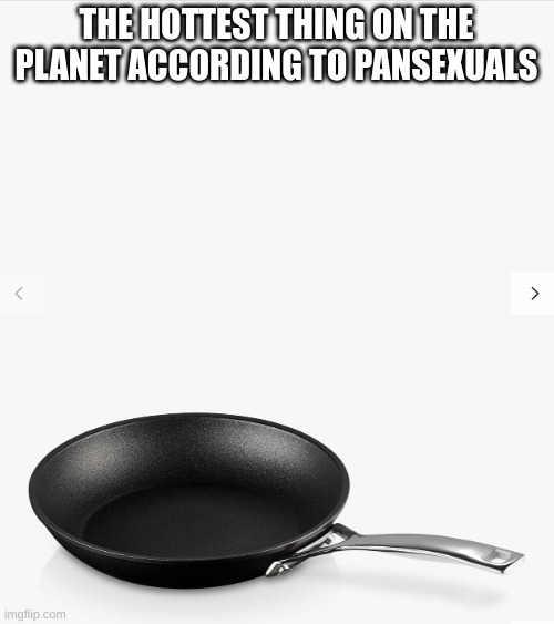 Frying pan | THE HOTTEST THING ON THE PLANET ACCORDING TO PANSEXUALS | image tagged in frying pan | made w/ Imgflip meme maker