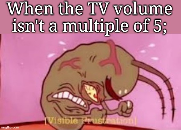 Visible Frustration | When the TV volume isn't a multiple of 5; | image tagged in visible frustration | made w/ Imgflip meme maker