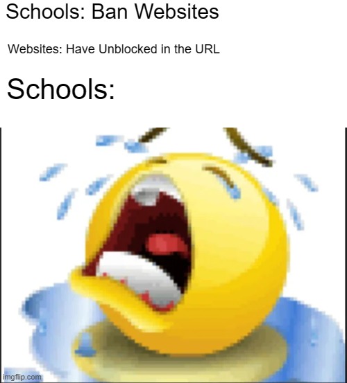 all the time | Schools: Ban Websites; Websites: Have Unblocked in the URL; Schools: | image tagged in low quality crying emoji | made w/ Imgflip meme maker