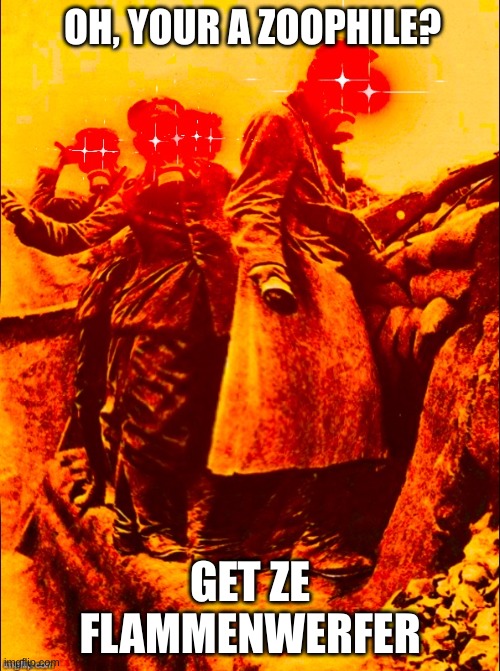 no mans land=twitter | OH, YOUR A ZOOPHILE? GET ZE FLAMMENWERFER | image tagged in ww1 deep fry | made w/ Imgflip meme maker
