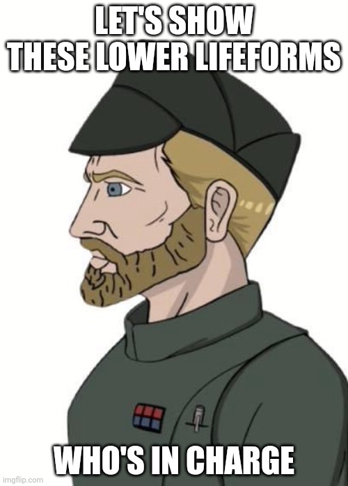 Galactic Empire Officer | LET'S SHOW THESE LOWER LIFEFORMS WHO'S IN CHARGE | image tagged in galactic empire officer | made w/ Imgflip meme maker