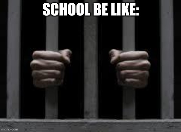 Jail | SCHOOL BE LIKE: | image tagged in jail | made w/ Imgflip meme maker