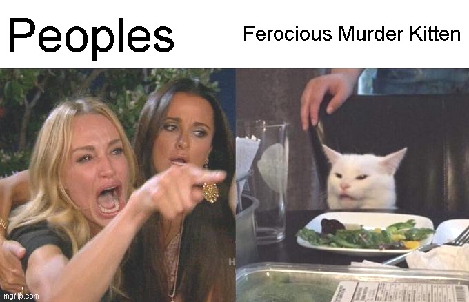 Woman Yelling At Cat Meme | Peoples Ferocious Murder Kitten | image tagged in memes,woman yelling at cat | made w/ Imgflip meme maker