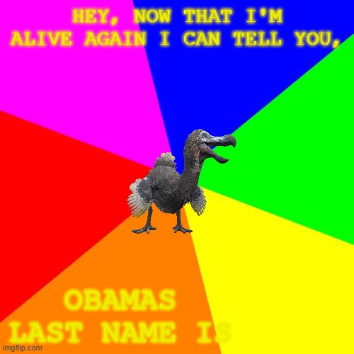 Blank Colored Background | HEY, NOW THAT I'M ALIVE AGAIN I CAN TELL YOU, OBAMAS LAST NAME IS | image tagged in memes,blank colored background,obama | made w/ Imgflip meme maker
