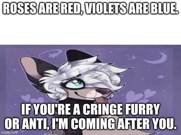 Be a chill furry | ROSES ARE RED, VIOLETS ARE BLUE. IF YOU'RE A CRINGE FURRY OR ANTI, I'M COMING AFTER YOU. | image tagged in furry,furry memes | made w/ Imgflip meme maker