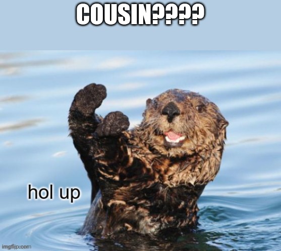 hol up | COUSIN???? | image tagged in hol up | made w/ Imgflip meme maker