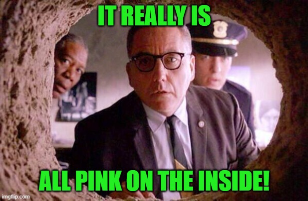 Shawshank redemption | IT REALLY IS ALL PINK ON THE INSIDE! | image tagged in shawshank redemption | made w/ Imgflip meme maker