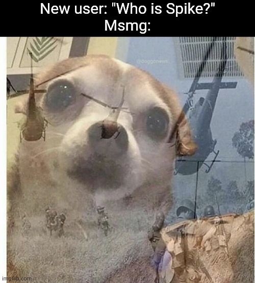 Oh God | New user: "Who is Spike?"
Msmg: | image tagged in ptsd chihuahua | made w/ Imgflip meme maker