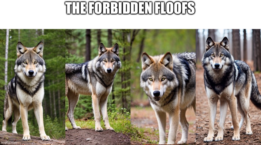 Pet at your own risk | THE FORBIDDEN FLOOFS | image tagged in floof,wolves,fluffy,why | made w/ Imgflip meme maker