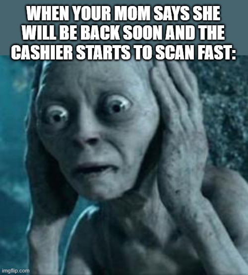 true | WHEN YOUR MOM SAYS SHE WILL BE BACK SOON AND THE CASHIER STARTS TO SCAN FAST: | image tagged in scared gollum | made w/ Imgflip meme maker