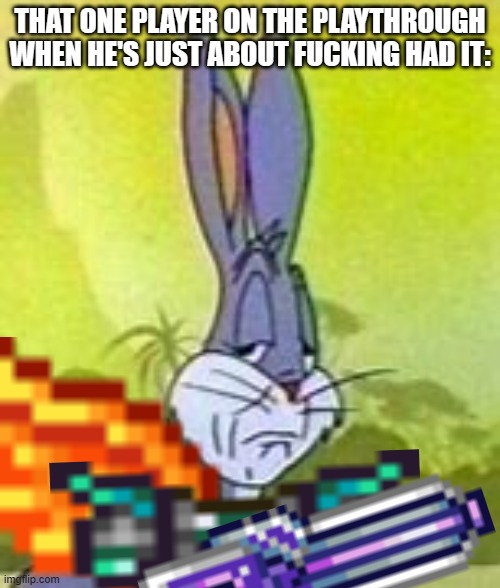Bugs | THAT ONE PLAYER ON THE PLAYTHROUGH WHEN HE'S JUST ABOUT FUCKING HAD IT: | made w/ Imgflip meme maker