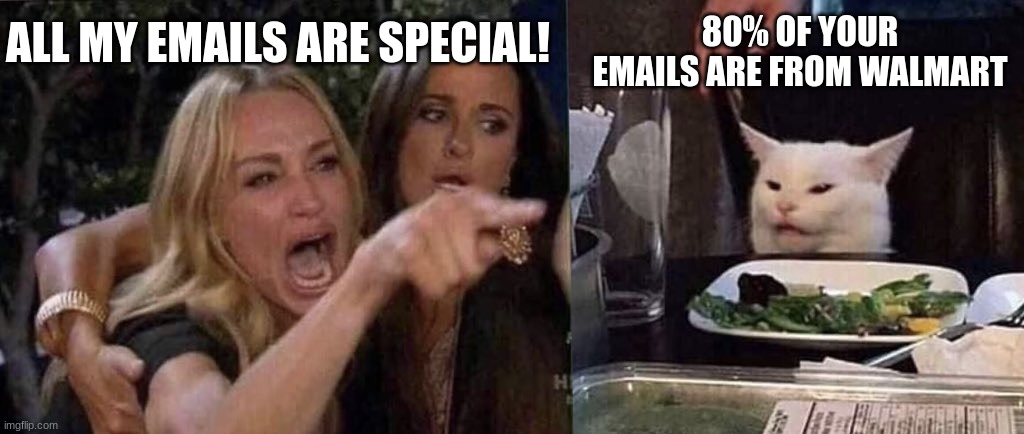 woman yelling at cat | ALL MY EMAILS ARE SPECIAL! 80% OF YOUR EMAILS ARE FROM WALMART | image tagged in woman yelling at cat | made w/ Imgflip meme maker