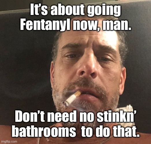 Hunter Biden | It’s about going Fentanyl now, man. Don’t need no stinkn’ bathrooms  to do that. | image tagged in hunter biden | made w/ Imgflip meme maker