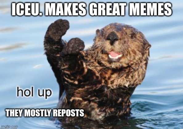 hold up | ICEU. MAKES GREAT MEMES; THEY MOSTLY REPOSTS | image tagged in hold up | made w/ Imgflip meme maker