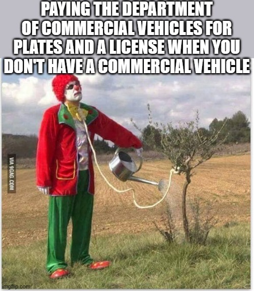 DMV |  PAYING THE DEPARTMENT OF COMMERCIAL VEHICLES FOR PLATES AND A LICENSE WHEN YOU DON'T HAVE A COMMERCIAL VEHICLE | image tagged in clown watering tree noose,dmv | made w/ Imgflip meme maker