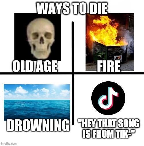 Seriously those people are so annoying | "HEY THAT SONG IS FROM TIK-" | image tagged in tiktok sucks,why are you reading the tags | made w/ Imgflip meme maker