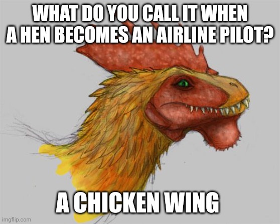 Chicken wing, lol | WHAT DO YOU CALL IT WHEN A HEN BECOMES AN AIRLINE PILOT? A CHICKEN WING | image tagged in puns,jokes,jpfan102504 | made w/ Imgflip meme maker
