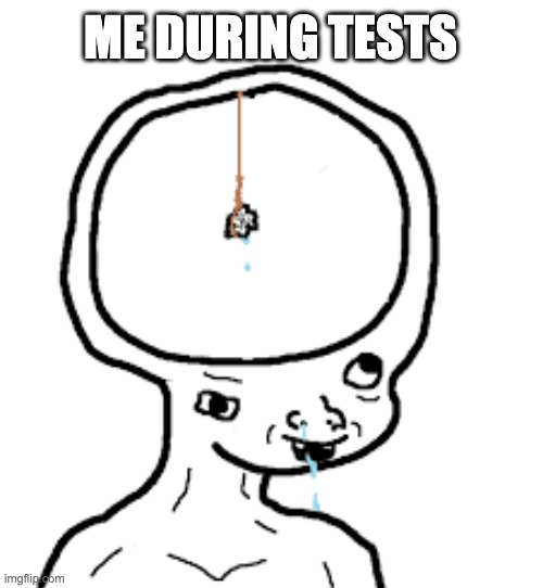 during tests | ME DURING TESTS | image tagged in small brain | made w/ Imgflip meme maker