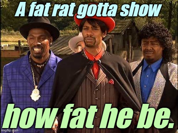 Time Haters, hating through time | A fat rat gotta show how fat he be. | image tagged in time haters hating through time | made w/ Imgflip meme maker