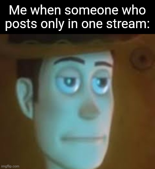 Like, you have nothing better to do than post more often in other streams? | Me when someone who posts only in one stream: | image tagged in disappointed woody | made w/ Imgflip meme maker