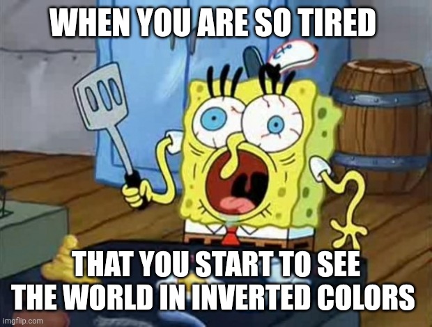 The world is in inverted colors when I'm sleep deprived | WHEN YOU ARE SO TIRED; THAT YOU START TO SEE THE WORLD IN INVERTED COLORS | image tagged in crazy spongebob | made w/ Imgflip meme maker
