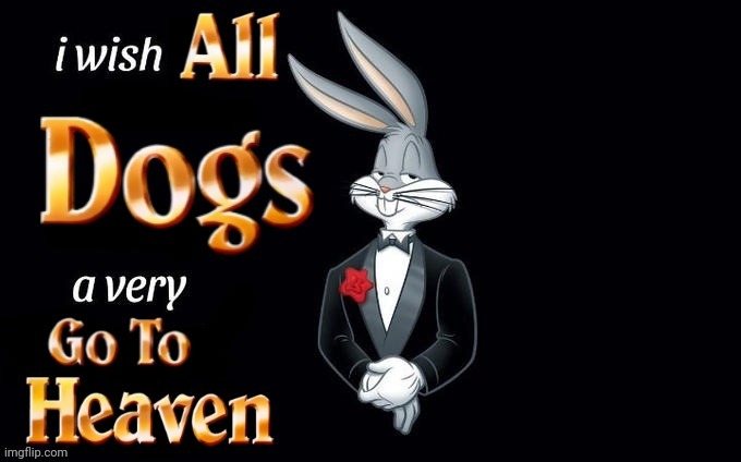I Wish All Dogs a very Go To Heaven | image tagged in i wish all the x a very pleasant evening,i wish all x a very y,1990s,movies | made w/ Imgflip meme maker