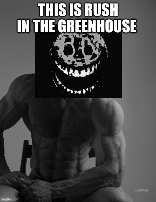 Giga Chad | THIS IS RUSH IN THE GREENHOUSE | image tagged in giga chad | made w/ Imgflip meme maker