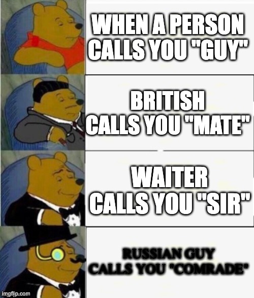 pov | WHEN A PERSON CALLS YOU ''GUY"; BRITISH CALLS YOU "MATE"; WAITER CALLS YOU "SIR"; RUSSIAN GUY CALLS YOU "COMRADE" | image tagged in tuxedo winnie the pooh 4 panel | made w/ Imgflip meme maker